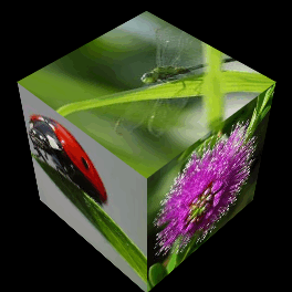 Lunapic-Edytor - cubex.gif