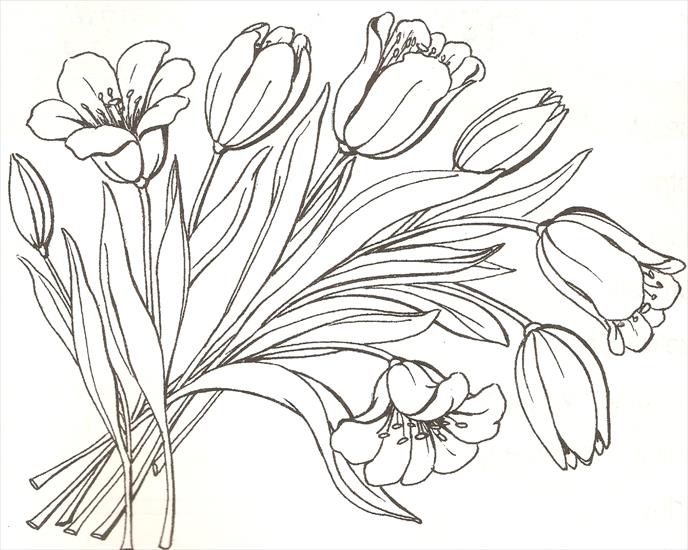 kwiaty3 - tulipany 001.png