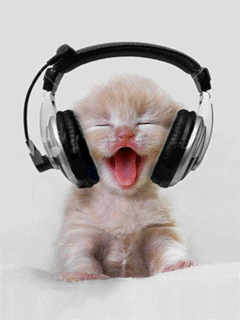 Obrazy - Kotek słucha muzy.gif