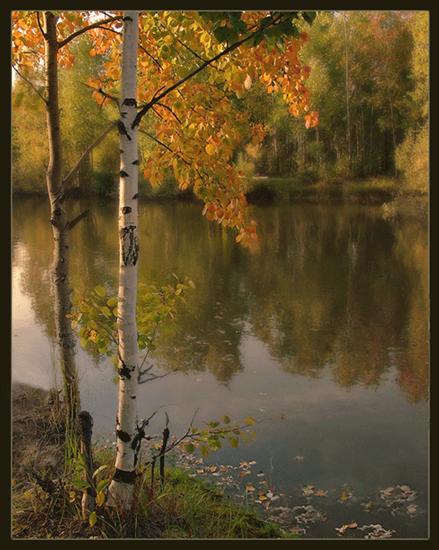  Jesiennie - pejzaz las ramka woda200.gif