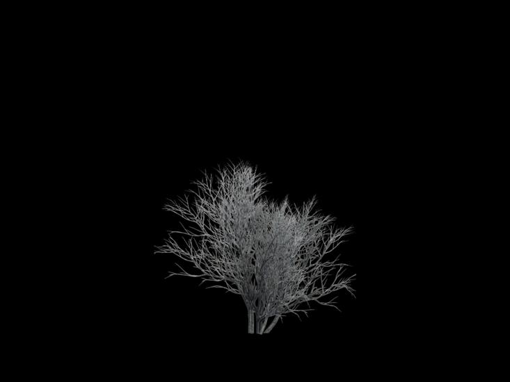 Drzewa photoshop PNG - SnowyGrassPlants8-BlackStock.png