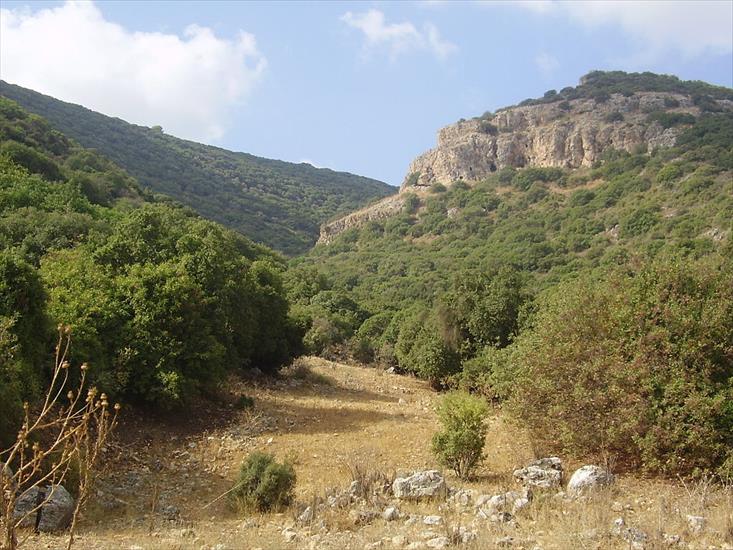 Izrael starożtny , obrazy - 1024px-MountCarmel1. Góra Karmel 546 m.n.p.m.JPG