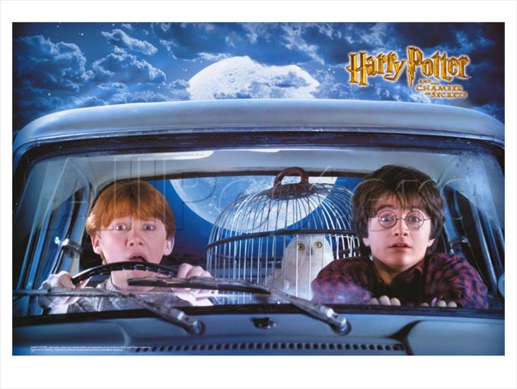 Harry Potter i Komnata Tajemnic - 40-4027-8MPWF00Z.jpg