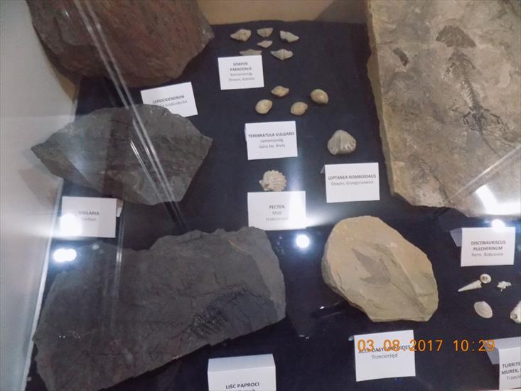 Wystawa Minerałów przy Kopalni Złota - DSCN2419.JPG