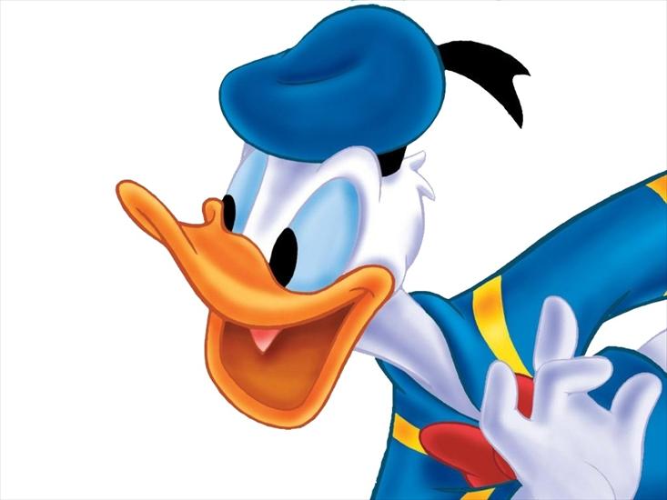 Kaczor Donald - Donald 2.jpg