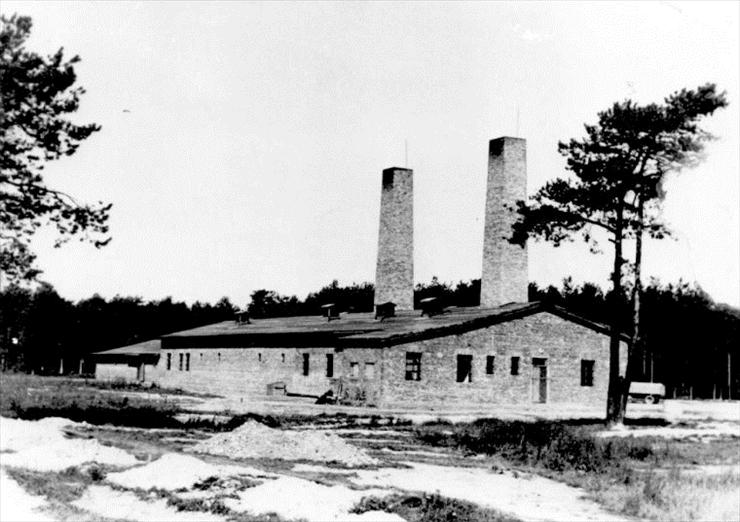 Zdjęcia - Auschwitz II-Birkenau concentration camp. Gas chamber and crematorium IV. SS photograph, 1943.jpg