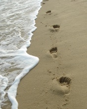 Widoki - footprintsnj3.jpg