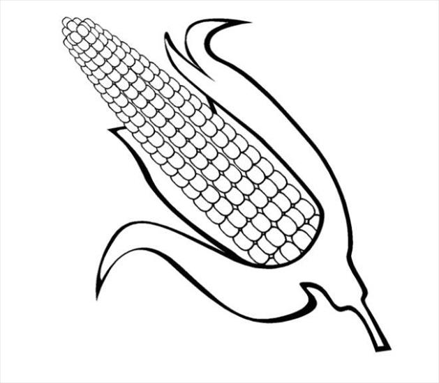 Jedzenie - corn.jpg