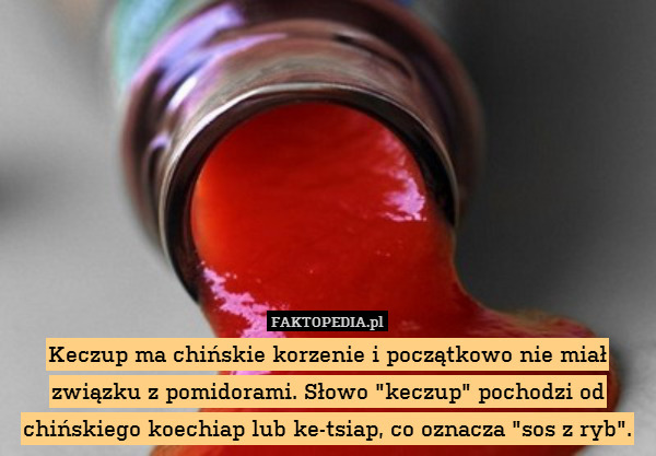 K - fakt Ketchup.jpg