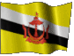 Flagi państwowe - Brunei.gif