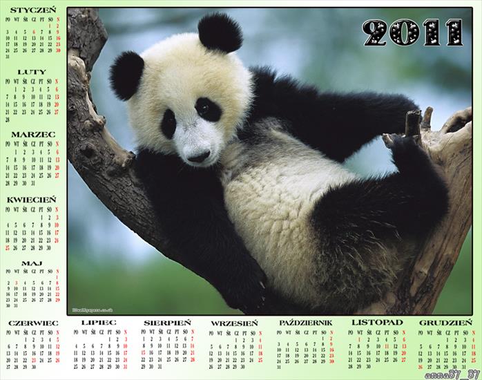 Kalendarze 2011 - anna37_37 571.png