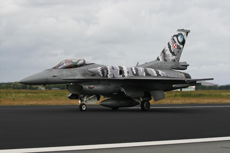 F 16 - Polish F16 C WhiteTiger.jpg