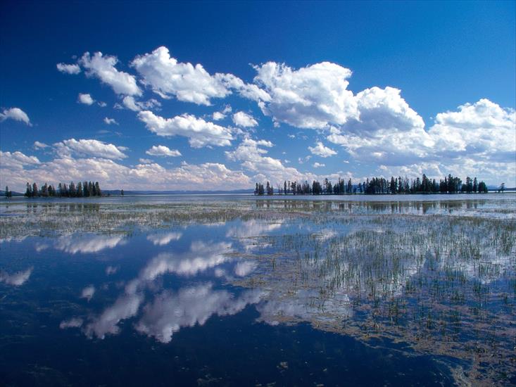National Park USA Collection - Yellowstone-Lake,-Yellowstone-National-Park,-Wyoming.jpg