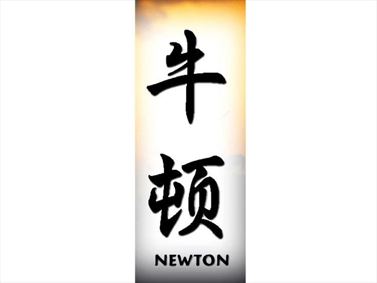 N_800x600 - newton.jpg