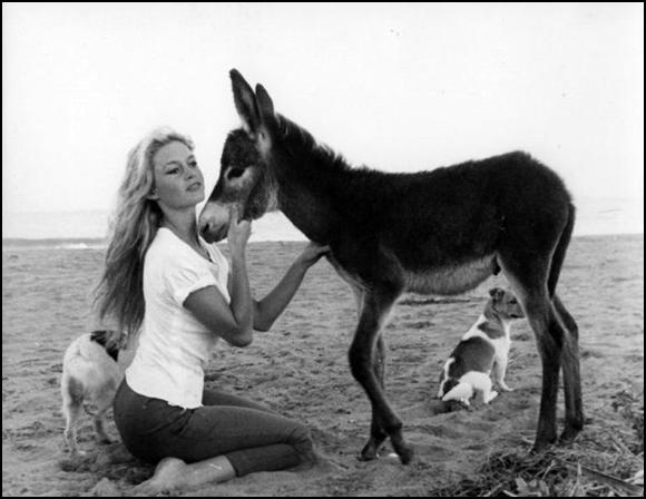 Brigitte Bardot - brigitte-bardot 185.jpg