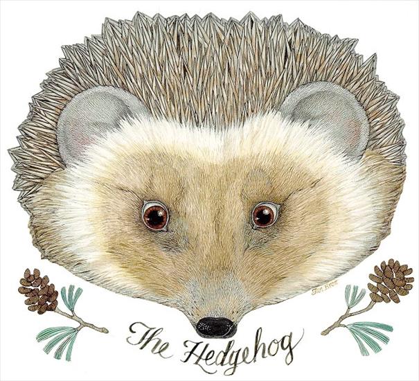 maski karnawałowe - the_hedgehog.jpg