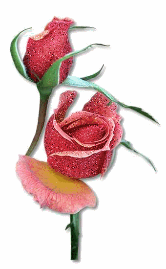 roza, rozyczka - roza gliter55.gif.gif