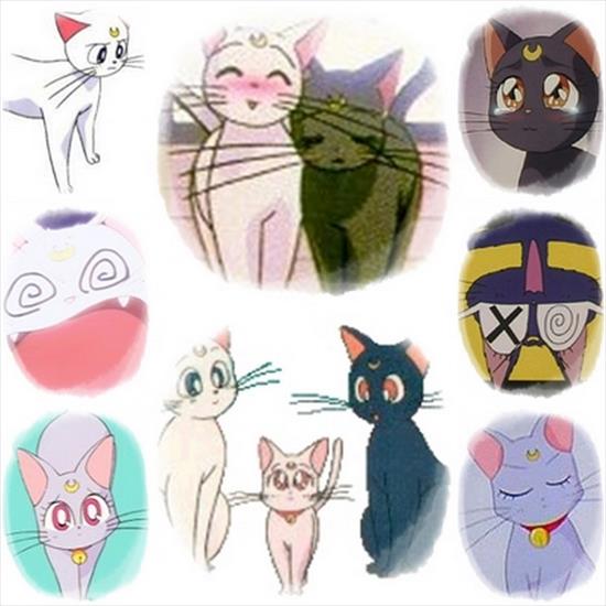 Sailor Moon - pagecats.jpg