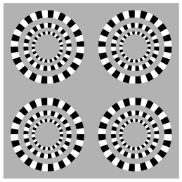 Złudzenia optyczne - iluzja22.gif