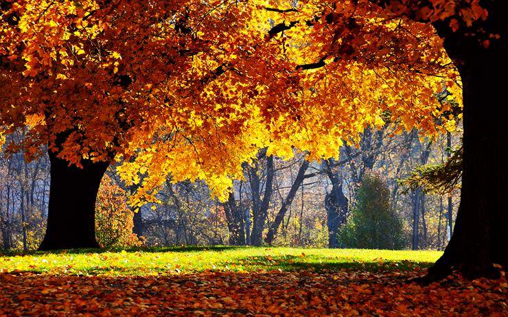 Tapety Jesień - beauty autumn 7.jpg
