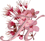 Kwiat wiśni - 01 - K.gif