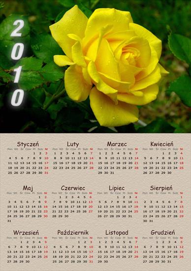  Kalendarze 2010 - kalendarz 2.jpg