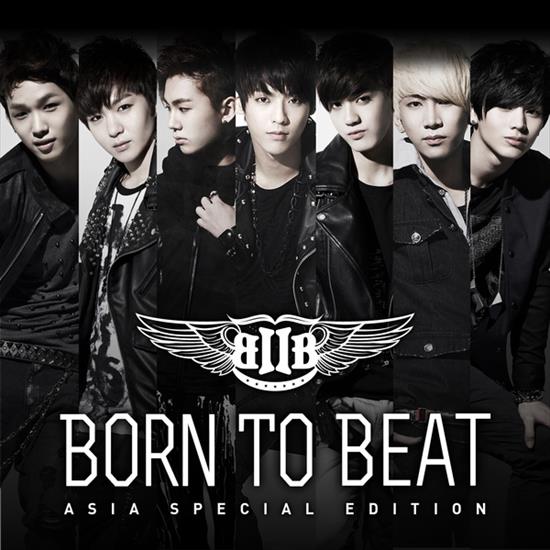 2012 Born to Beat - cover.jpg