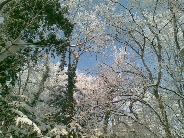 Zima w Świnoujściu 2010 - 20101221001.jpg
