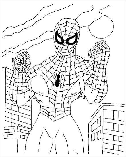 spider man - uwgmfnd6.jpg