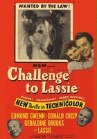 Kolekcja filmów o psach - Wyzwanie dla Lassie.jpg