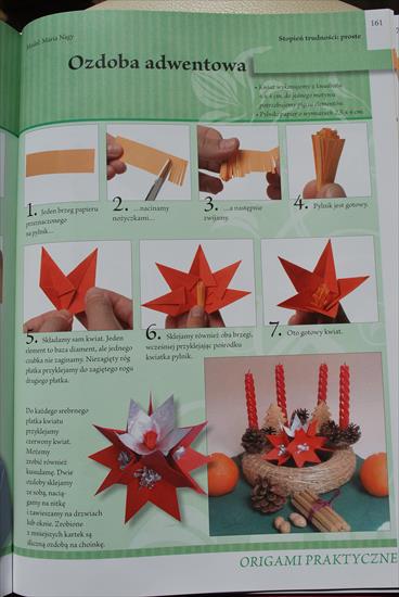 Księga origami - DSC_0199.JPG