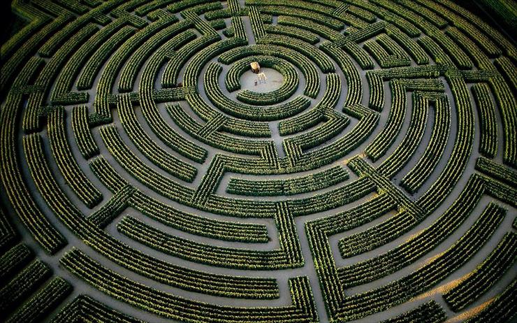 FRANCJA - The largest plant maze in the world, at Reignac-sur-Indre, Indre-et-Loire Department, France.jpg