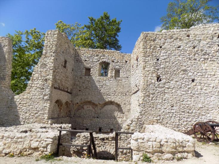 Ruiny zamku Pilcza i okolica - DSCN6161.JPG