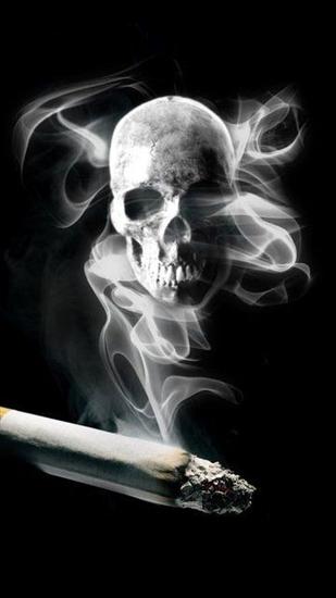 Tapety 360x640 - Smoking Kills.jpg