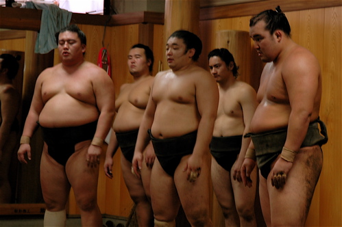 Sumo - sadogatake-sumo-stable-5.jpg