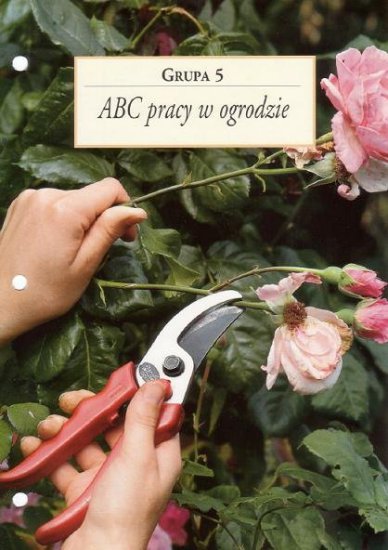 Rośliny - ABC pracy w ogrodzie.jpg