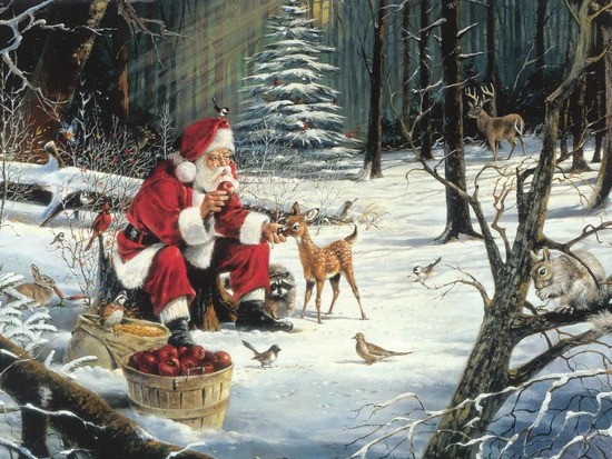 Mikołaje - -ŚWIĄTECZNE-christmas-Pictures-Boże-Narodzenie_large.jpg