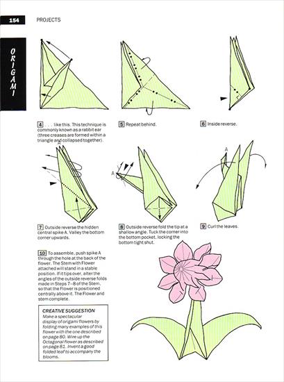 origami1 - Paul 154.jpg