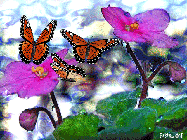 Motyle - 0barboleta019.gif