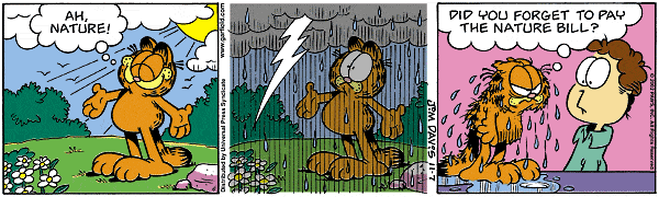Garfield - Garfield 67.GIF