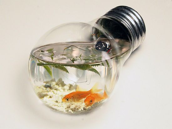 Dokumenty - fish-tank-light-bulb1.jpg