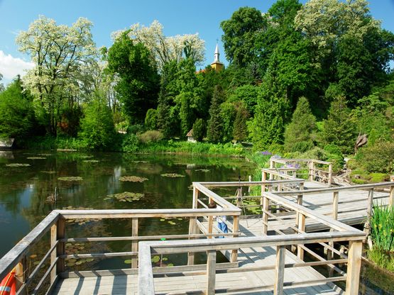 Arboretum - Bolestraszyce - lato2.JPG