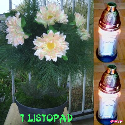 1Listopada - swiece2-1-LISTOPAD-5561.jpg