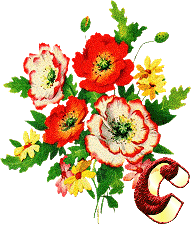 Alfabety z Bukietem kwiatów - 021 - C.gif
