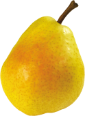 N PNG 9 - pear_PNG3447-124x170.png