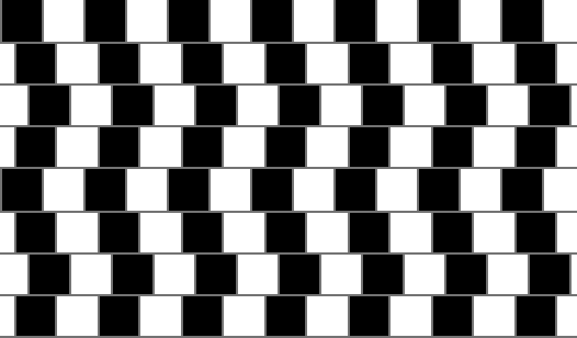 50 iluzji optycznych - Parallel Lines.gif