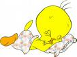 tweety - images50.jpg