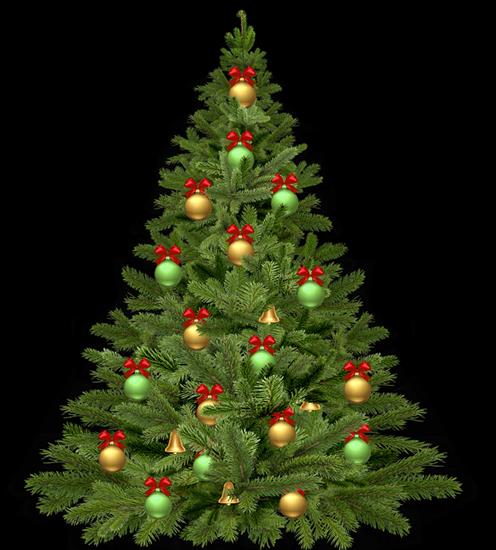 ŚWIĄTECZNE - christmas-tree-1808558_960_720.png