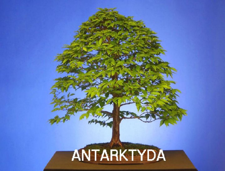 antarktyda - 0.jpg