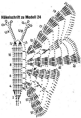 motyle1 - 20.1.jpg